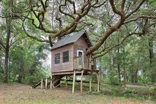 5516 Molino Rd, Molino, FL 32577 - Photo 47