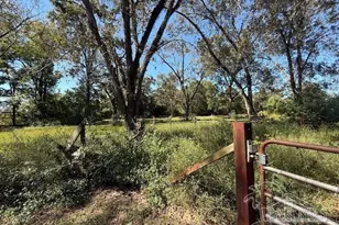 4815 Green Rowell Rd, Jay, FL 32563 - Photo 7