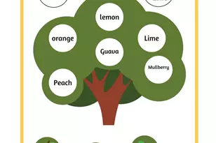 112 St Regis Dr, Pensacola, FL 32505 - Photo 25