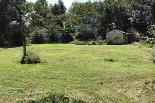 2529 Molino Rd, Molino, FL 32577 - Photo 35