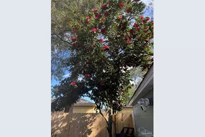1901 E Yonge St, Pensacola, FL 32503 - Photo 29