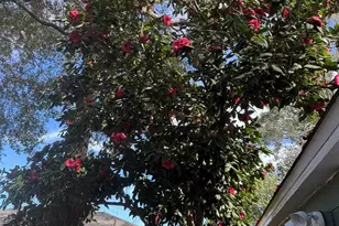 1901 E Yonge St, Pensacola, FL 32503 - Photo 29