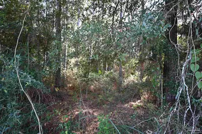 6417 Dickerson City Rd, Milton, FL 32583 - Photo 1