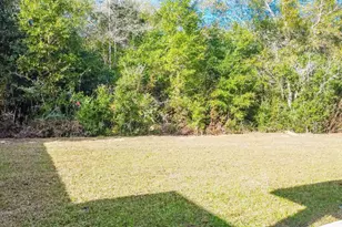 4119 Whitetail Ln, Pensacola, FL 32526 - Photo 9