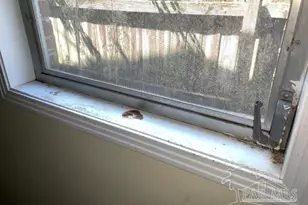 3281 Mason Rd, Walnut Hill, FL 32568 - Photo 37