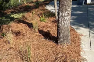 5420 Viking Rd, Pensacola, FL 32507 - Photo 5