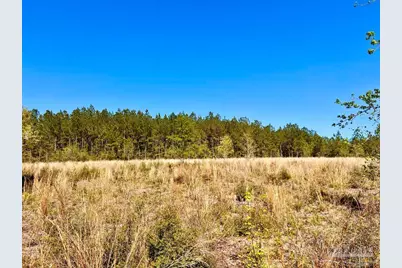 Lot 14-Sw Bashi Rd, Pace, FL 32571 - Photo 17