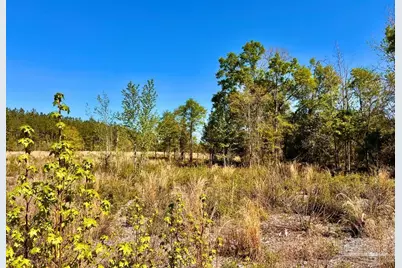 Lot 14-Sw Bashi Rd, Pace, FL 32571 - Photo 23