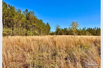 Lot 14-Sw Bashi Rd, Pace, FL 32571 - Photo 15