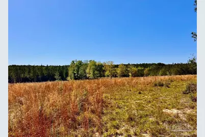 Lot 14-Sw Bashi Rd, Pace, FL 32571 - Photo 29