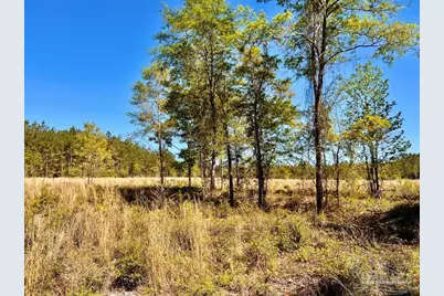 Lot 14-Sw Bashi Rd, Pace, FL 32571 - Photo 21