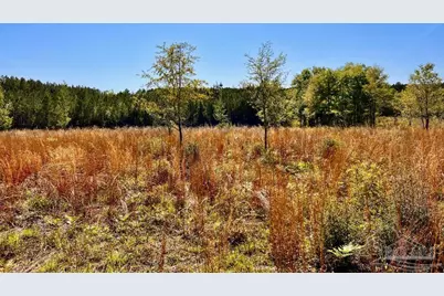 Lot 14-Sw Bashi Rd, Pace, FL 32571 - Photo 27