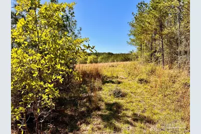 Lot 14-Sw Bashi Rd, Pace, FL 32571 - Photo 13