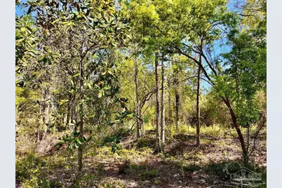 Lot 14-Sw Bashi Rd, Pace, FL 32571 - Photo 25
