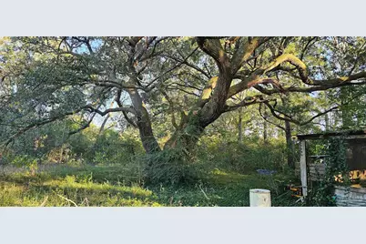 9541 Hwy 90, Milton, FL 32583 - Photo 15