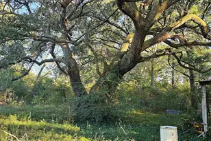 9541 Hwy 90, Milton, FL 32583 - Photo 15