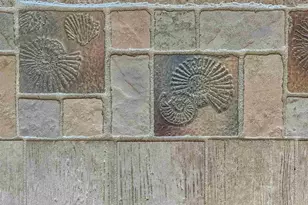 751 Pensacola Beach Blvd, Pensacola Beach, FL 32561 - Photo 19