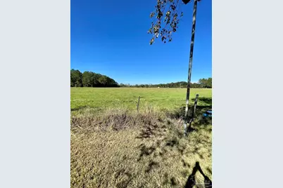 5221 Barrineau Park School Rd, Molino, FL 32577 - Photo 59