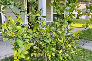 5335 Broad St, Milton, FL 32570 - Photo 13