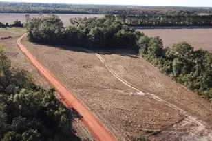 6+/- Acres Ard Field Rd, Pace, FL 32571 - Photo 1