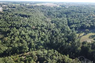 8+/- Acres Wiley Scott Rd, Jay, FL 32565 - Photo 1