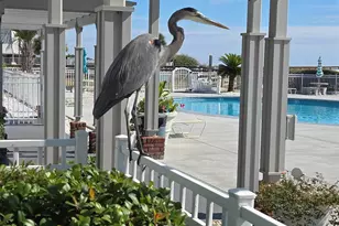 400 Plantation Dr, Gulf Shores, AL 36542 - Photo 35