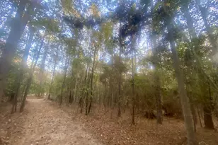 8 Acres Hwy 4, Jay, FL 32565 - Photo 1