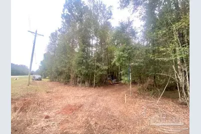 8 Acres Hwy 4, Jay, FL 32565 - Photo 9