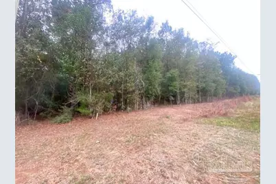 8 Acres Hwy 4, Jay, FL 32565 - Photo 7