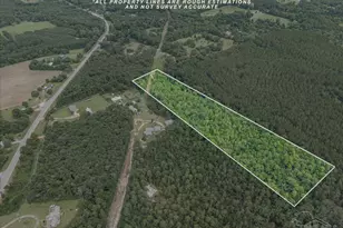8 55 Acres Hwy 4, Jay, FL 32565 - Photo 1