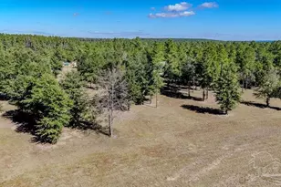 1400 Hwy 97, Molino, FL 32577 - Photo 1