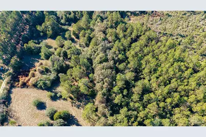 1756 Jacks Branch Rd, Cantonment, FL 32533 - Photo 5