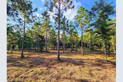 3404 Yellow Hammer Rd, Pace, FL 32571 - Photo 13