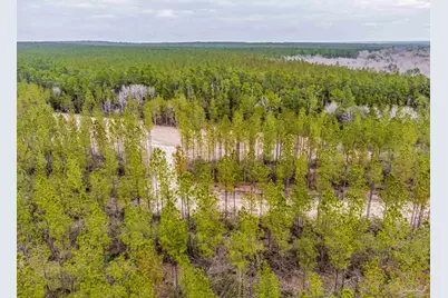 8997 Indian Ford Rd #Parcel A 22+/- Acres (Approximately), Milton, FL 32570 - Photo 7