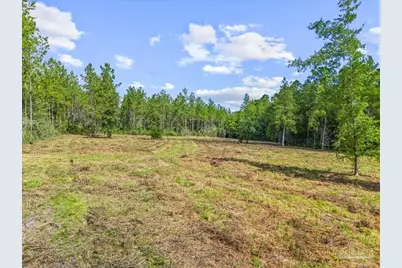 9319 Indian Ford Rd #Parcel A 22+/-, Milton, FL 32570 - Photo 13