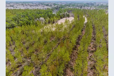 8997 Indian Ford Rd #Parcel A 22+/- Acres (Approximately), Milton, FL 32570 - Photo 25