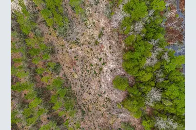 8997 Indian Ford Rd #Parcel A 22+/- Acres (Approximately), Milton, FL 32570 - Photo 15