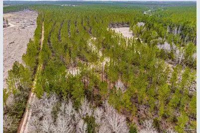 8997 Indian Ford Rd #Parcel A 22+/- Acres (Approximately), Milton, FL 32570 - Photo 31