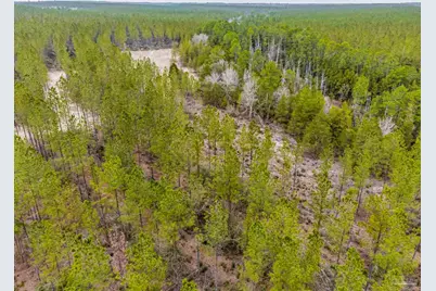 8997 Indian Ford Rd #Parcel A 22+/- Acres (Approximately), Milton, FL 32570 - Photo 9