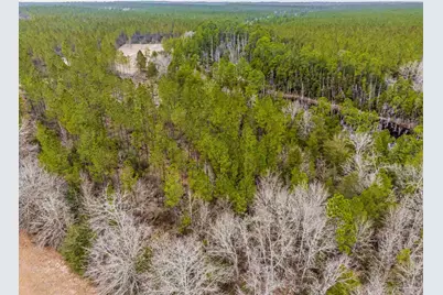 8997 Indian Ford Rd #Parcel A 22+/- Acres (Approximately), Milton, FL 32570 - Photo 17