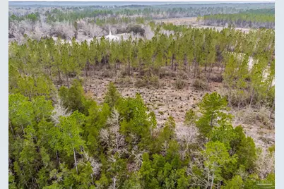 8997 Indian Ford Rd #Parcel B 22.45+/- Acres (Approximately), Milton, FL 32570 - Photo 13