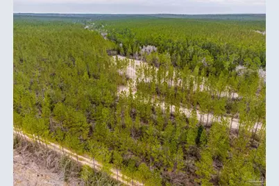 8997 Indian Ford Rd #Parcel B 22.45+/- Acres (Approximately), Milton, FL 32570 - Photo 29