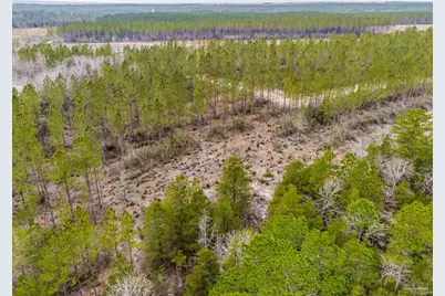 9318 Indian Ford Rd, Milton, FL 32570 - Photo 11