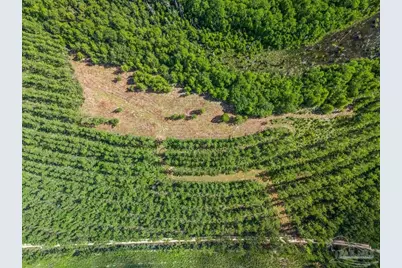 9320 Indian Ford Rd #Parcel B 22.45+, Milton, FL 32570 - Photo 19