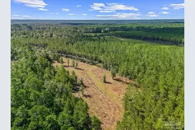 9320 Indian Ford Rd #Parcel B 22.45+, Milton, FL 32570 - Photo 17