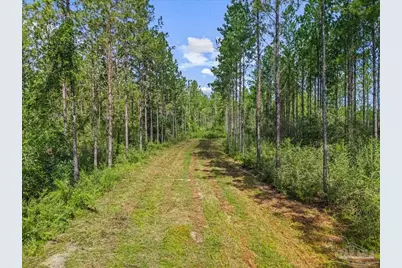 9320 Indian Ford Rd #Parcel B 22.45+, Milton, FL 32570 - Photo 11