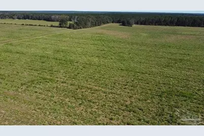 4900 Block Hwy 97, Walnut Hill, FL 32568 - Photo 7
