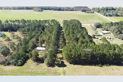 4900 Block Hwy 97, Walnut Hill, FL 32568 - Photo 5