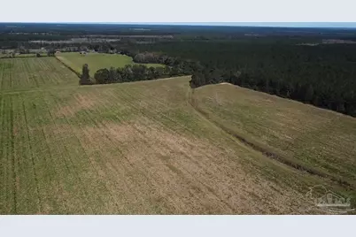 4900 Block Hwy 97, Walnut Hill, FL 32568 - Photo 21
