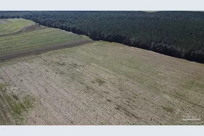 5600 Block Hwy 97, Walnut Hill, FL 32568 - Photo 11